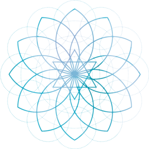 flower logo blue pool network